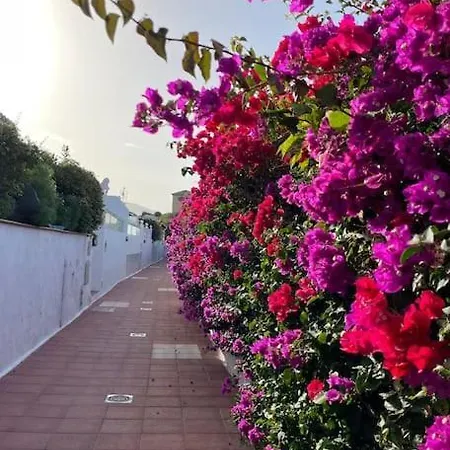 Acogedor Con Vistas Puerto de la Cruz (Tenerife)